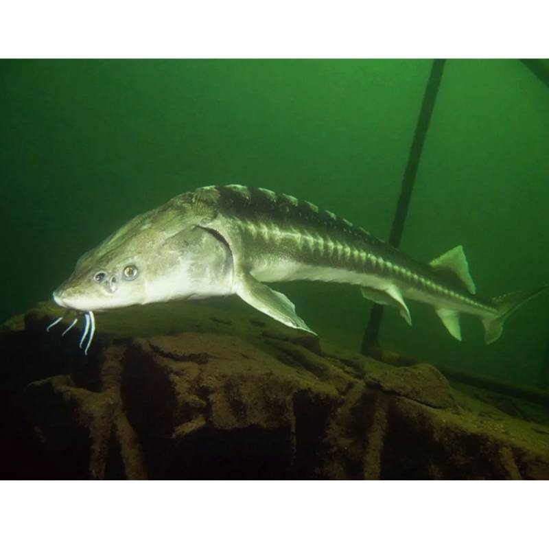 Мероприятие №72