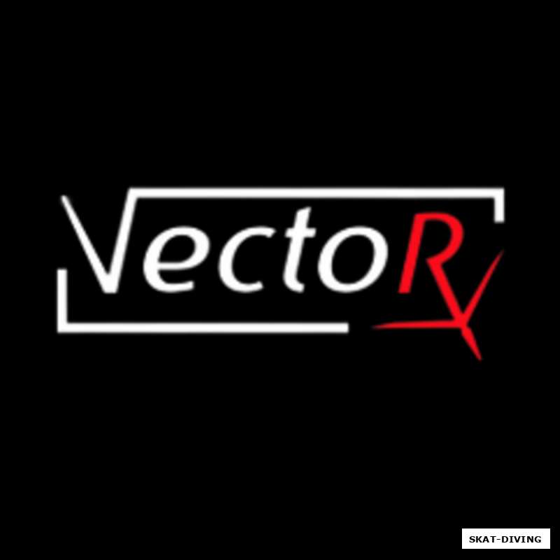 "VECTOR" на радость брянским подвохам