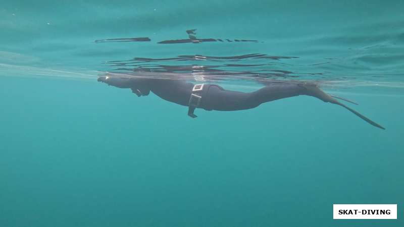 Фридайвинг на озере "Долгое" в Беларуси с 29 по 31 июля