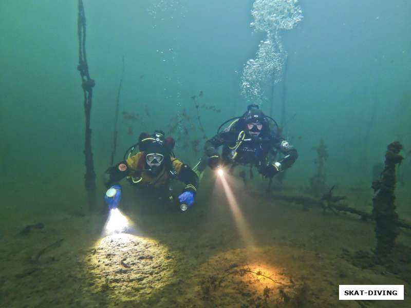 "Каньон павших дикобразов", "Родина-Отец", "Брянский Океанариум" и все это не в "Цирке"!