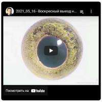 Новость №1505