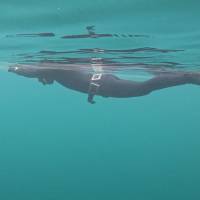 Новость №2116