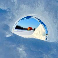 Новость №2188