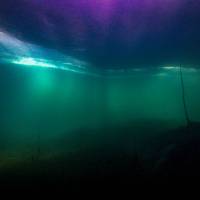 Новость №2190