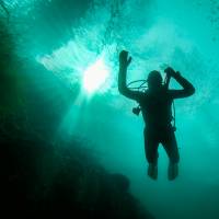 Новость №2207