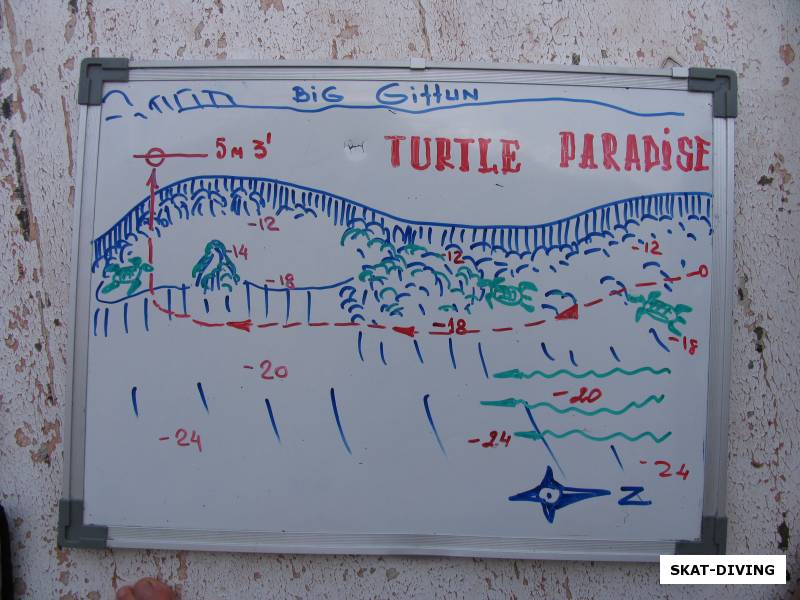дайв-сайт turtle paradise