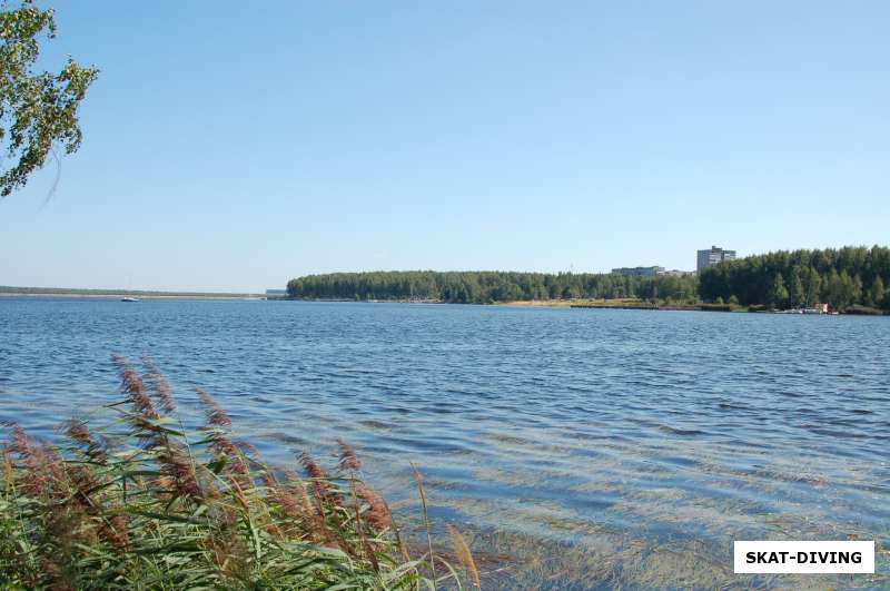 берега десногорского водохранилища