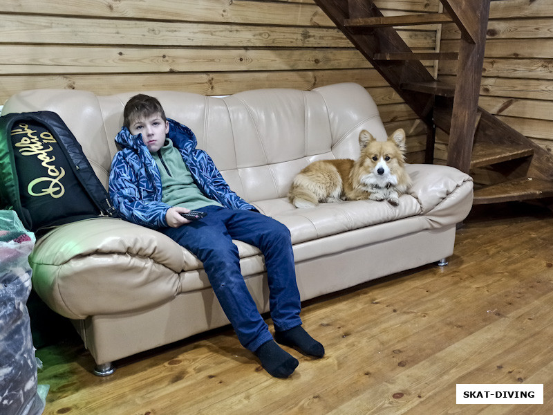 Филиппов Константин, и мимикрирующая под цвет дивана собака