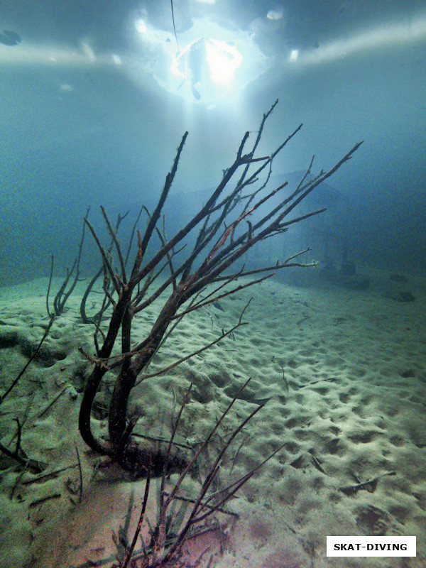 Первый кадр фотографа, немного обомлевшего от прозрачности воды