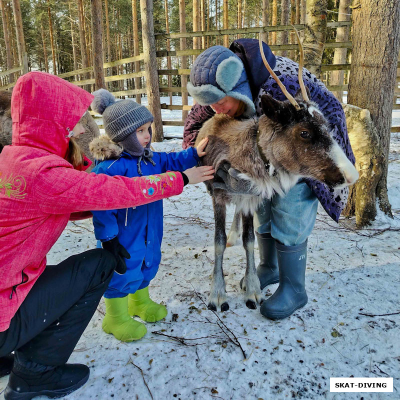 Зеленева Юлия, Романов Павел, контактный зоопарк и местный смотрительница за животными