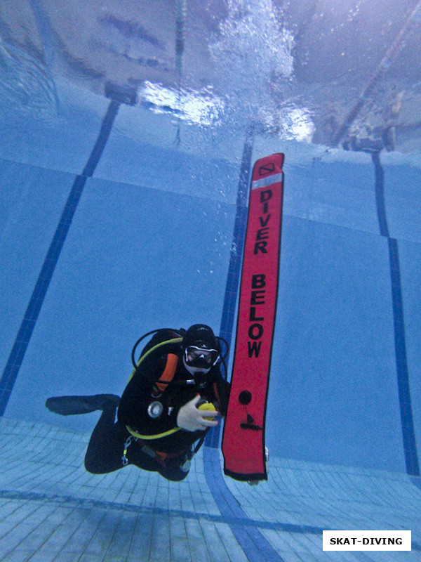 Невструева Александра, "Diver Below" переводится как "Внизу ныряльщик"