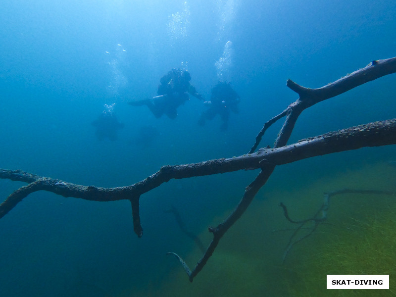 DEEP DIVER - это совершенно новая страница дайверской жизни, когда погружение наполняется настоящим смыслом и интересом