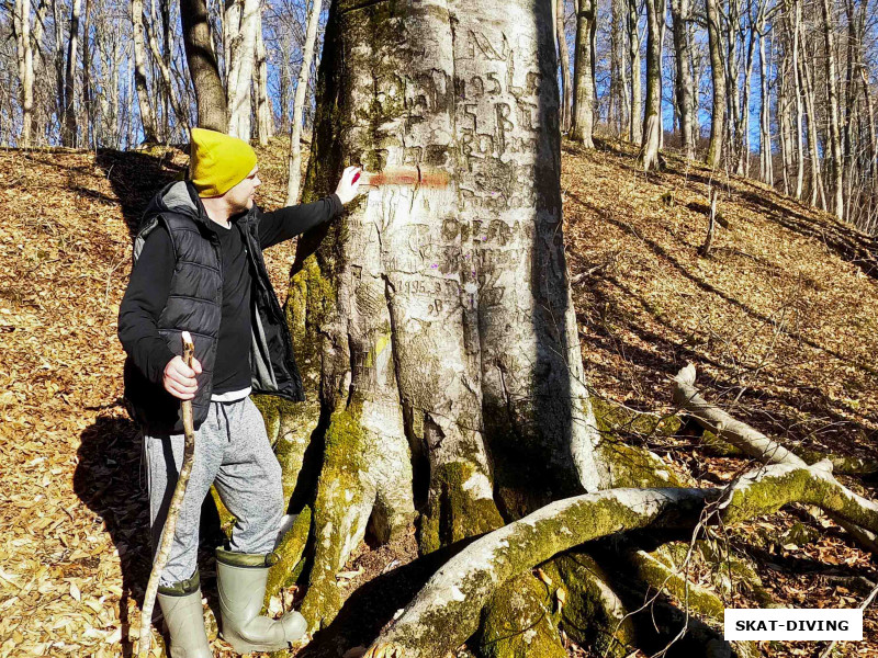 Изотко Артем, пока мы фоткались изрисовал все дерево какими-то надписями и делает вид, что не он