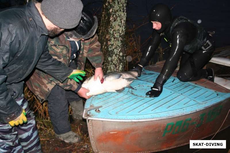 Достаем трофеи из лодки