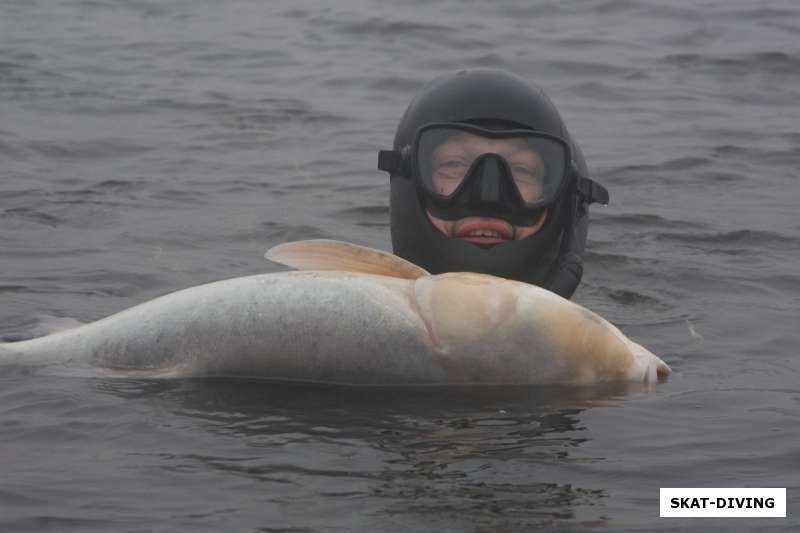 Ильюшин Дмитрий, белый толстолоб