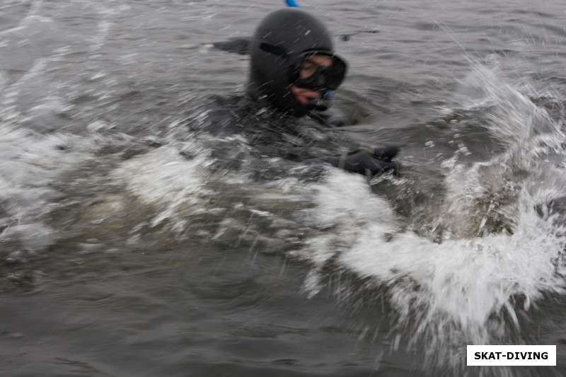Борьба с толстолобиком на поверхности воды