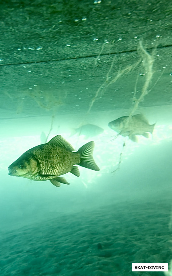 Мы были у них в гостях