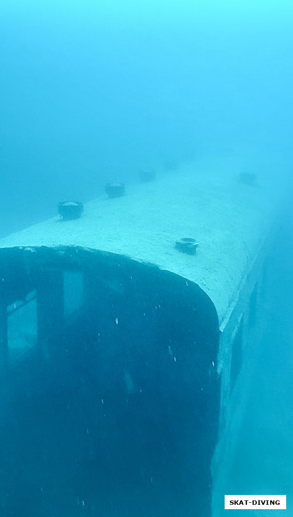 Караси заняли верхнее боковое