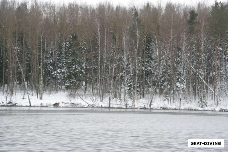 Заснеженные берега водохранилища