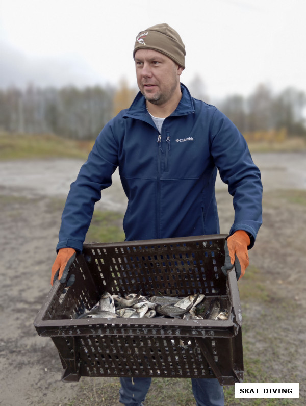 Леонов Дмитрий, несколько рыб почерпнули садком в ящик для оценки их размера, состояния и отчетного фото для вас