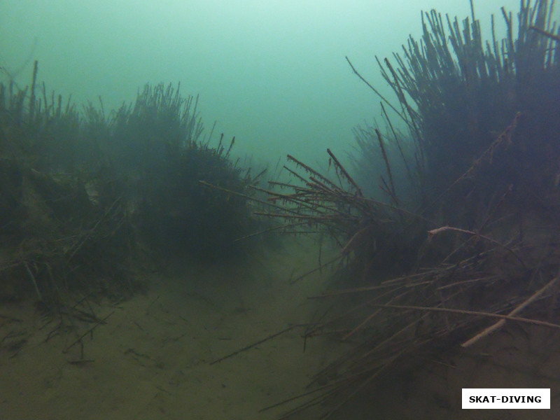 А это каньон "Павших дикобразов", летом он всегда мутный, но сейчас по нему можно сказочно прогуляться