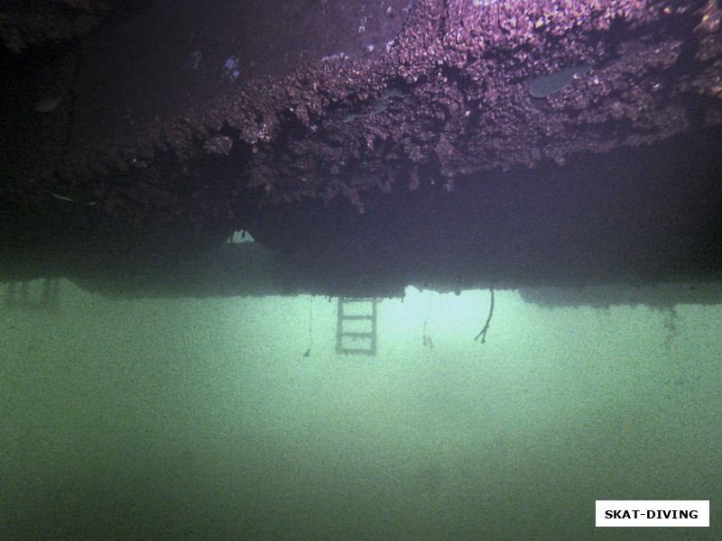 На сей раз прозрачность была такой, что с одного края плавучего дома был хорошо виден противоположный