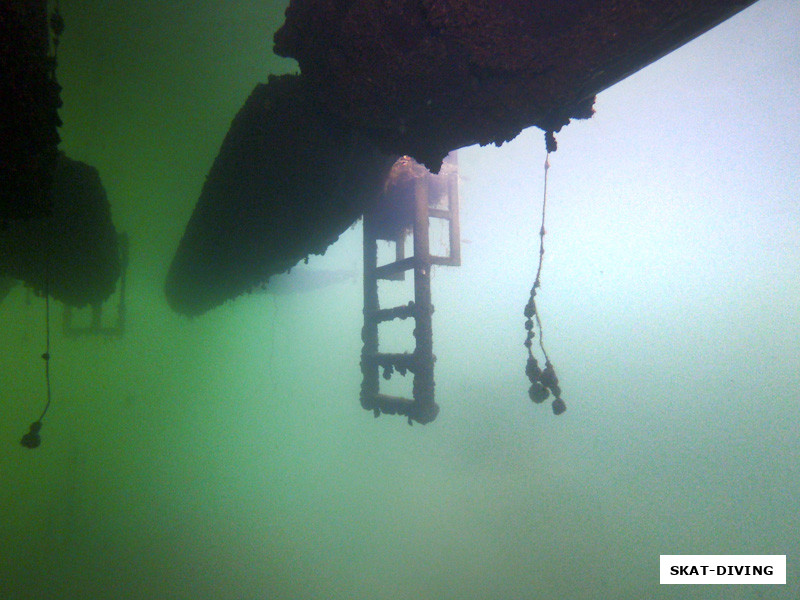 Лестница на небо всегда рядом, но как нам нравится жить где мы есть...