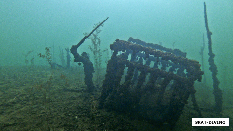 В цирке у одной из клеток со львом (хотя там чаще прячется щука) можно увидеть необычное изваяние