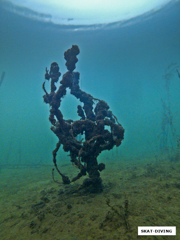 Еще один арт-объект, мы зовем его "Новогодняя Елка", хотя это была сосна некогда, скорее всего