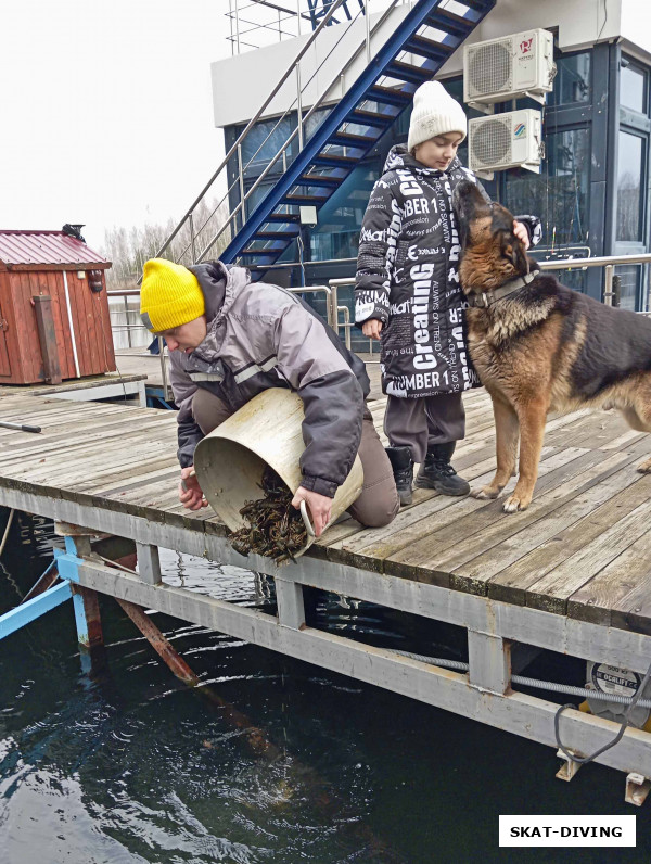 Изотко Артем, Изотко Александра, и мощный кобель по имени Бой, что не устоял перед детским обаянием