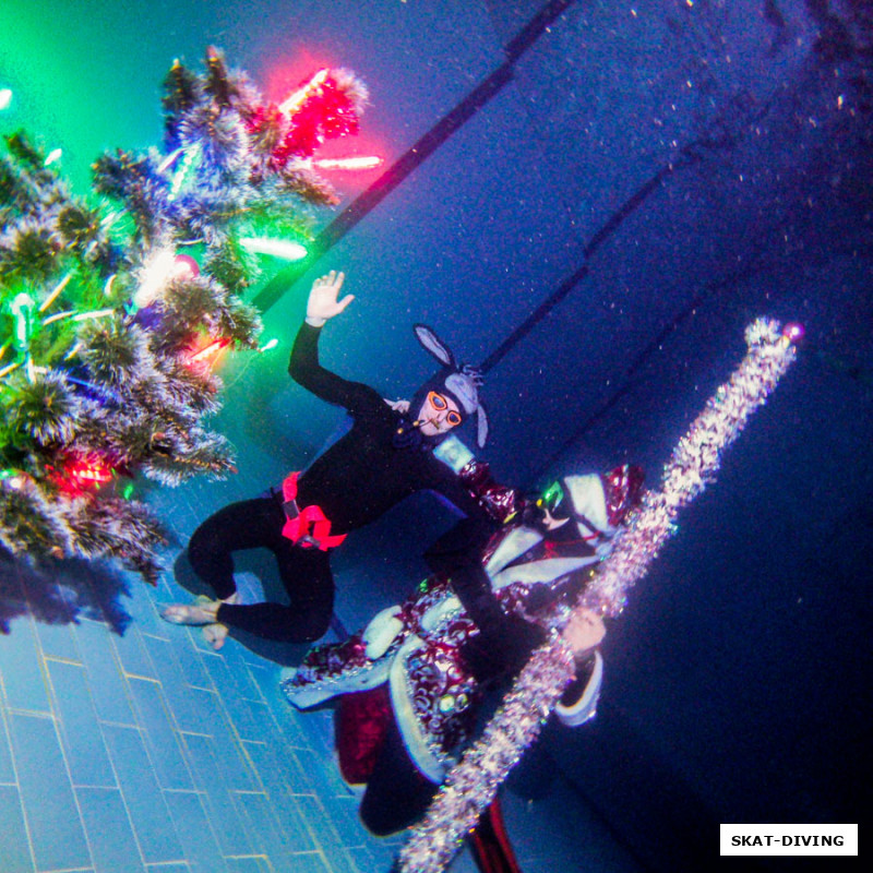 Калинкин Алексей, Тюрин Руслан, а это что за странная зверушка свалилась сверху на нашего деда?