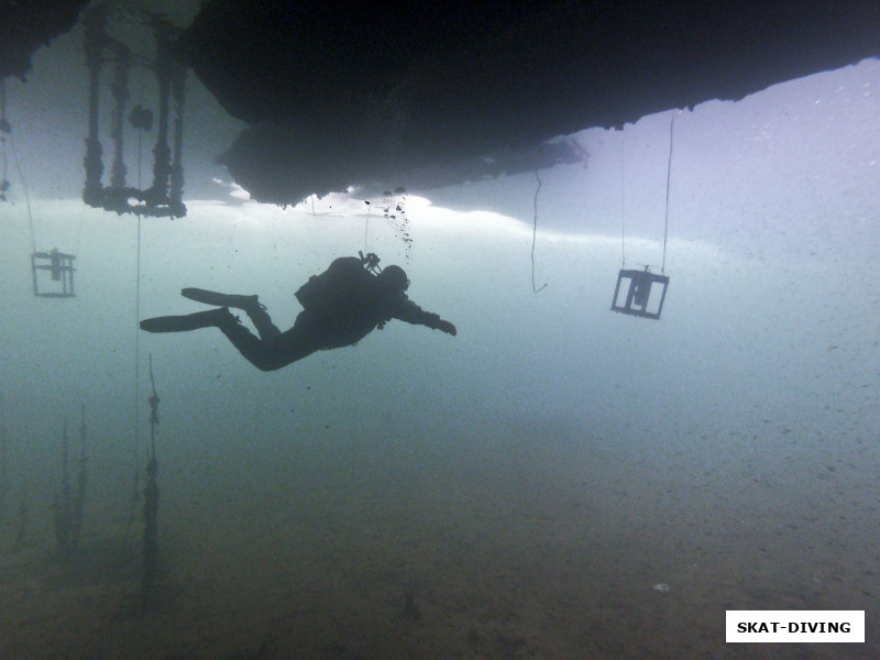 Филиппов Родион, "Men In Black"
