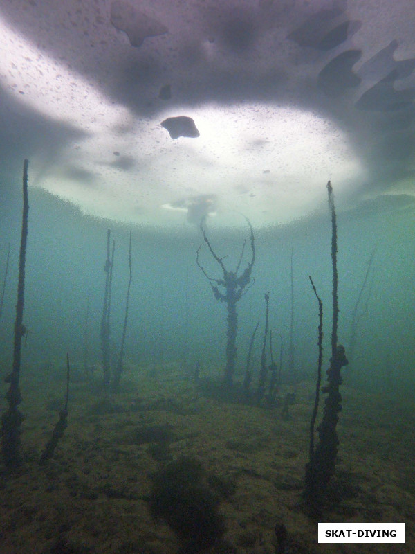 Самый лучший день - это подо льдом!