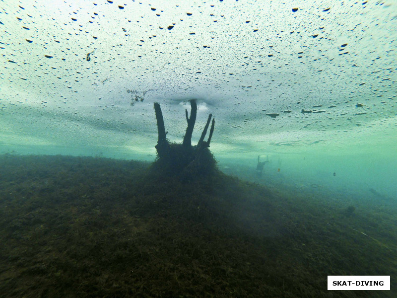 Особая эстетика - плавание подо льдом на сверхмалой глубне