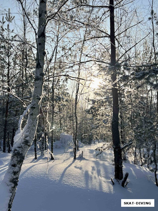 Победитель конкурса "Фото русской зимы 2026"