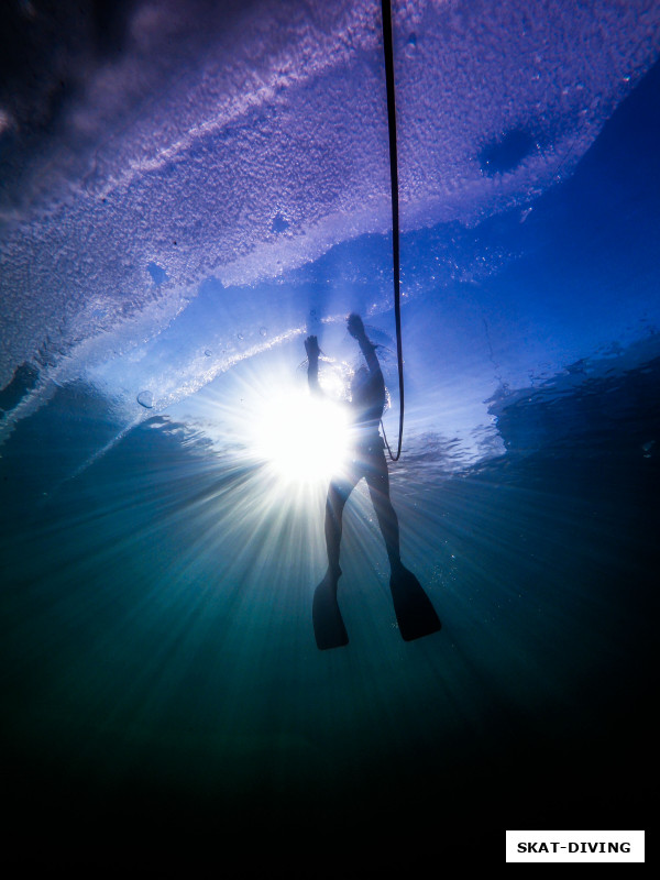 ICE FREDIVING - картинка для рекламного постера готова, можно начинать отдельный курс