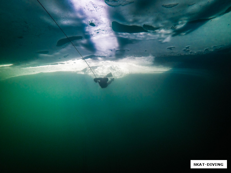 Филиппова Людмила, отважным сердцем фридайверам посвящается