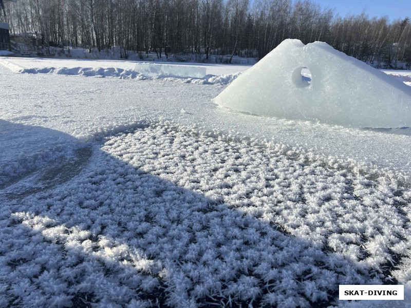 А это нам подарок от природы, устланная цветами майна перед началом спусков