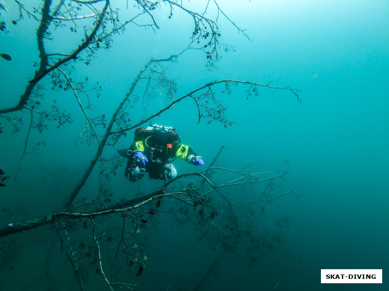 Федорук Дмитрий, подводный мир плетет свои кружева вокруг наших ныряльщиков