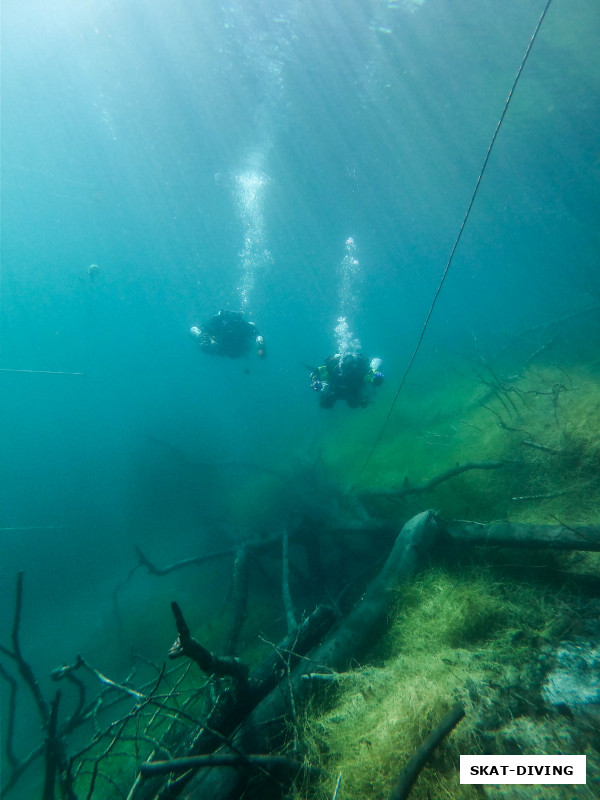 Это наши технодайверы, но тут давайте сделаем акцент на ландшафт и сочетание подводной растительности с фрагментами затопленного леса