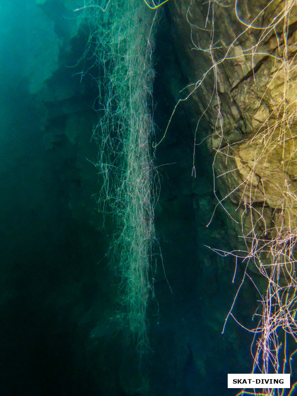 Прекрасная девица свесила свои длинные волосы в ожидании принца, что ее спасет