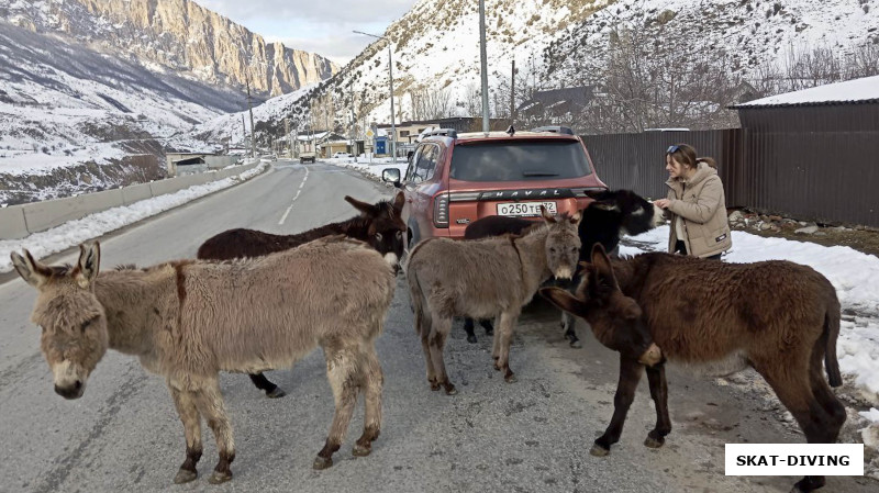 Всего 15 минут езды и ты в высокогорном селении, где можно остановится на дороге почесать ослов
