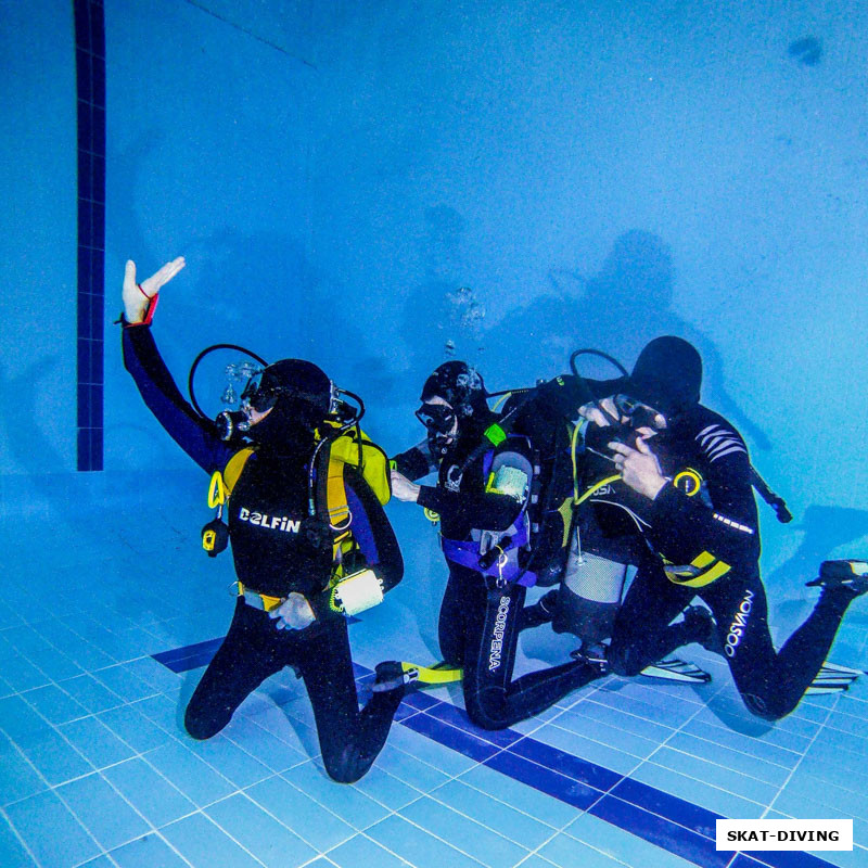 "Свет мой зеркальце скажи, что там сзади за мужики?"