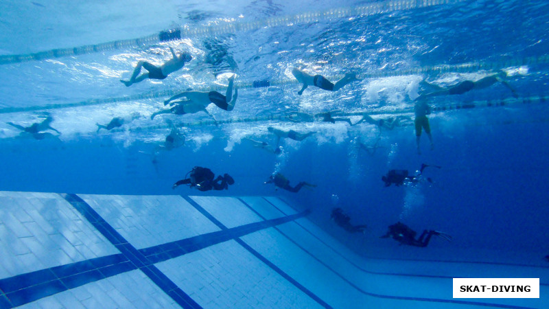 А ведь кипящий от детей спортсменов бассейн очень напоминает прибрежную зону океана в волнение