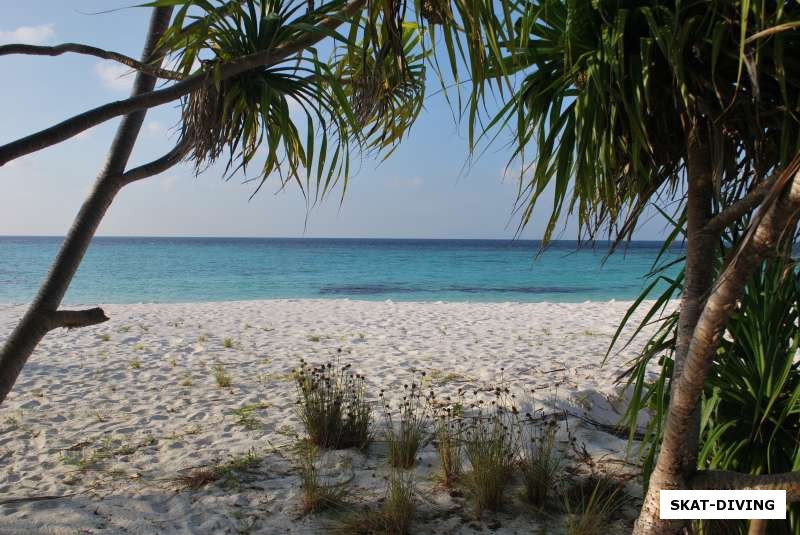 Необитаемый остров на Мальдивах