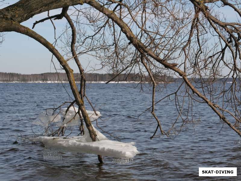 красоты Десногорска