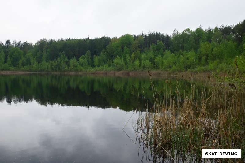 Круглое озеро, Брянск