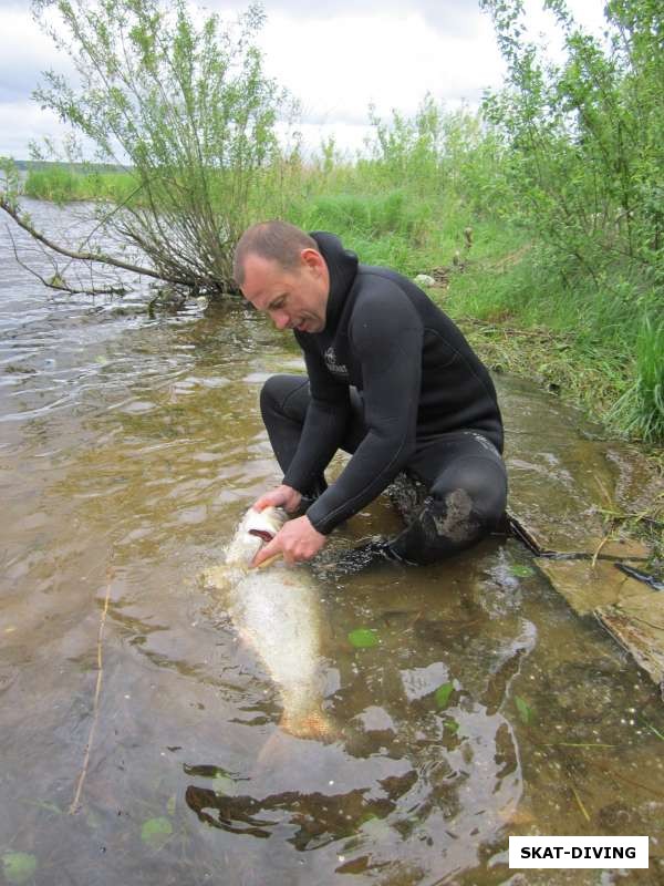 Ильюшин Дмитрий, обязательная чистка рыбы после охоты