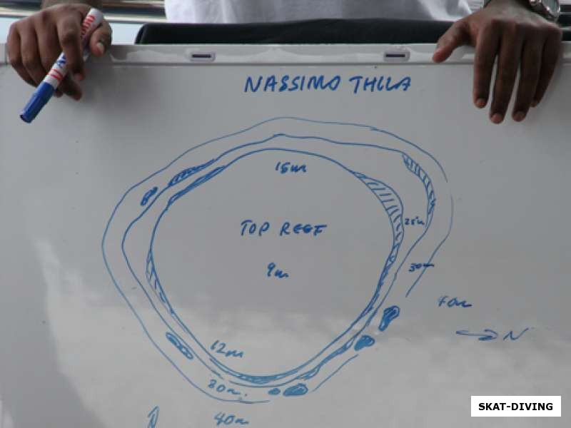Nassimo Thila дайв-сайт на Мальдивах