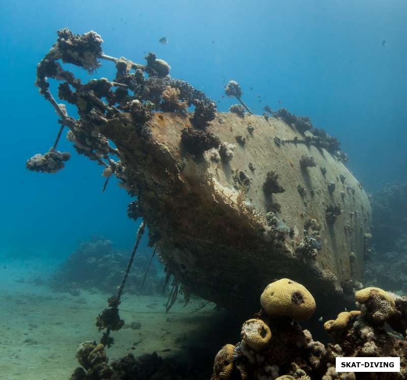 Затонувший в Красном море советский корабль